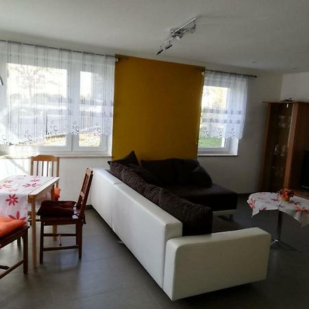 Ferienwohnung, Monteurwohnung Grossrohrsdorf 외부 사진